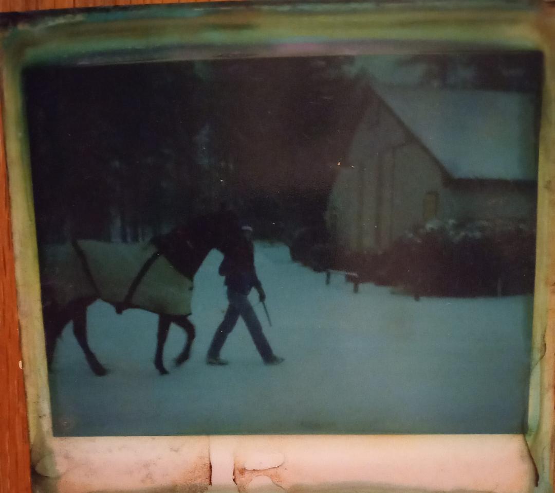 One of my favorite pics from 1981. Me walking my filly Be My Steady to the blacksmith shop
   Wishing everyone a Merry Christmas!! 🎄🎁
  Happy Hannukka!!