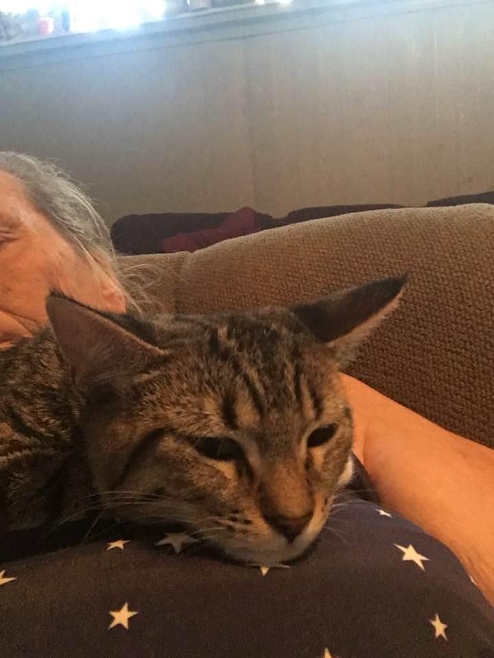Lucy likes to cuddle and sleep on me