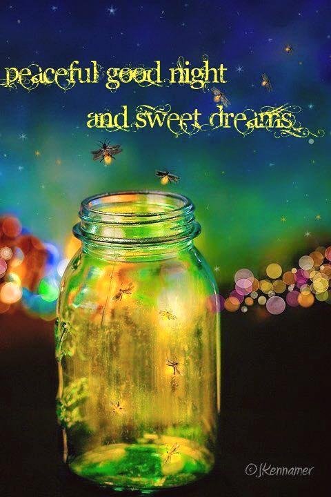 🌙⭐️🌙⭐️