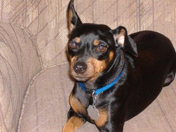 Another shot of Peanut, he gets tired of Mommy taking his picture