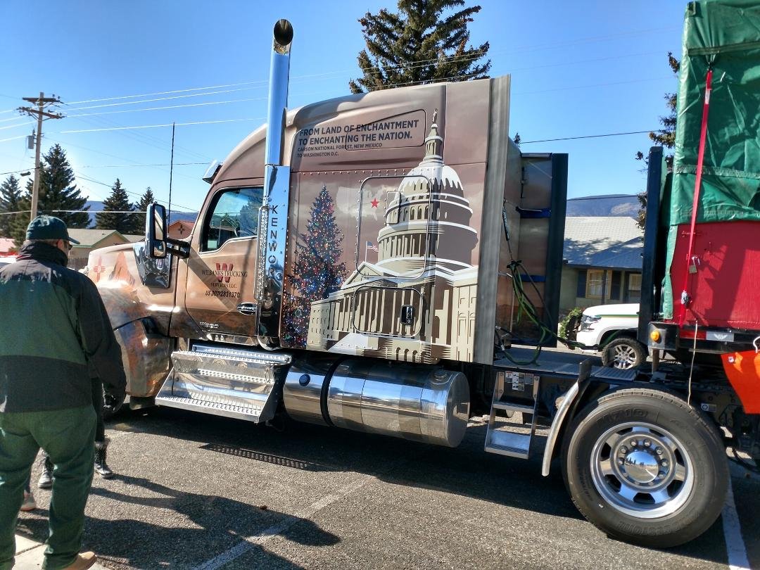 National tree headed to DC