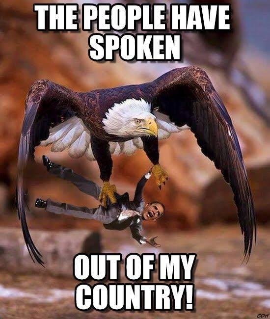 They have just found a New Symbol for America: