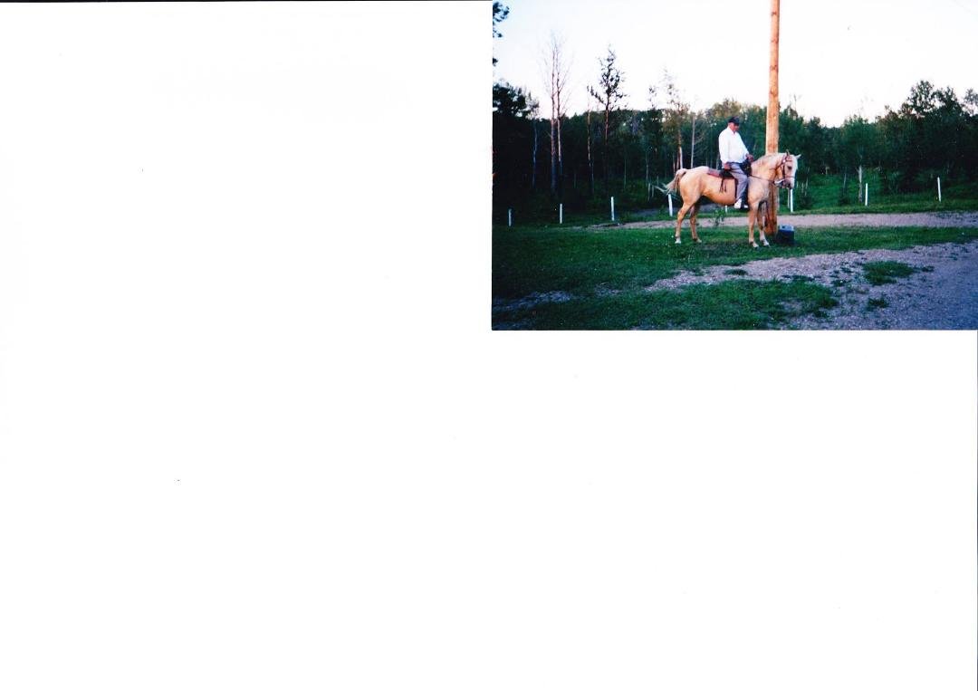 Willard & his horse Goldie.