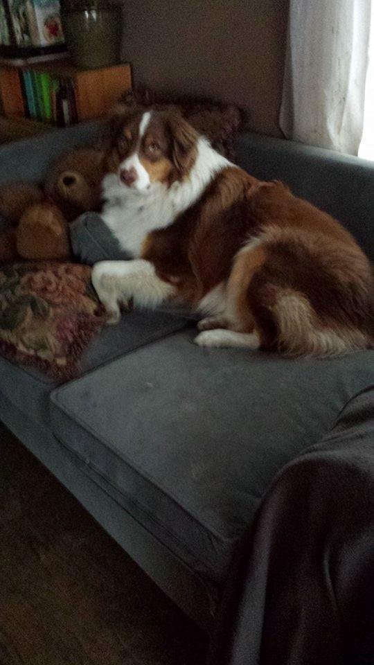 Mandu with his Teddy