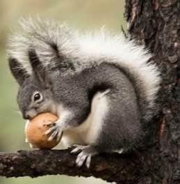 Creatures great and small