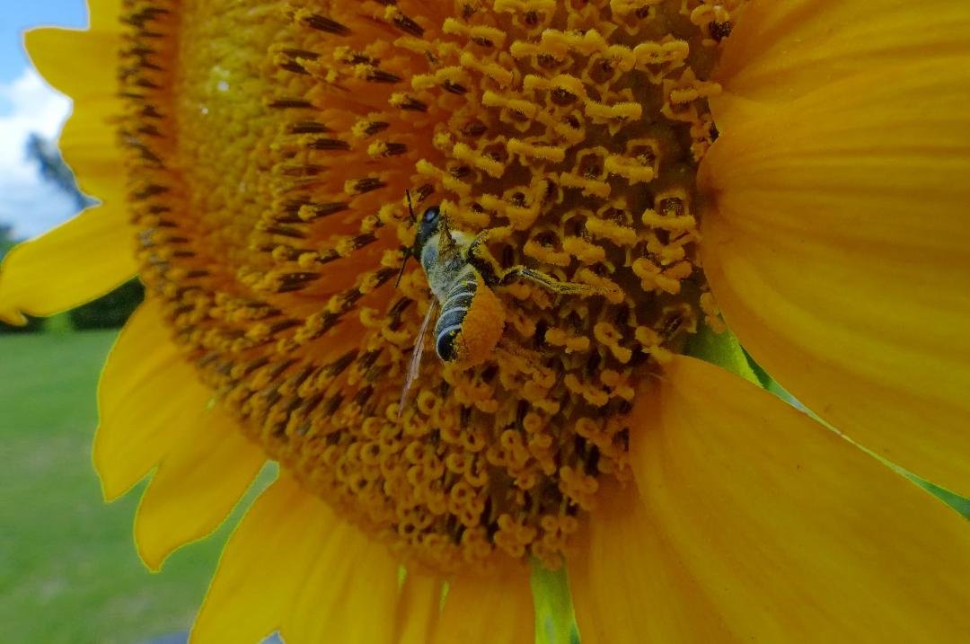 Robert Bodner's album, Timeline Photos