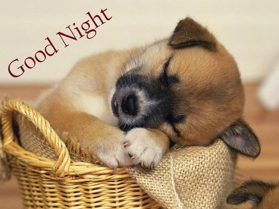 Ross Marshall's album, Timeline Photos