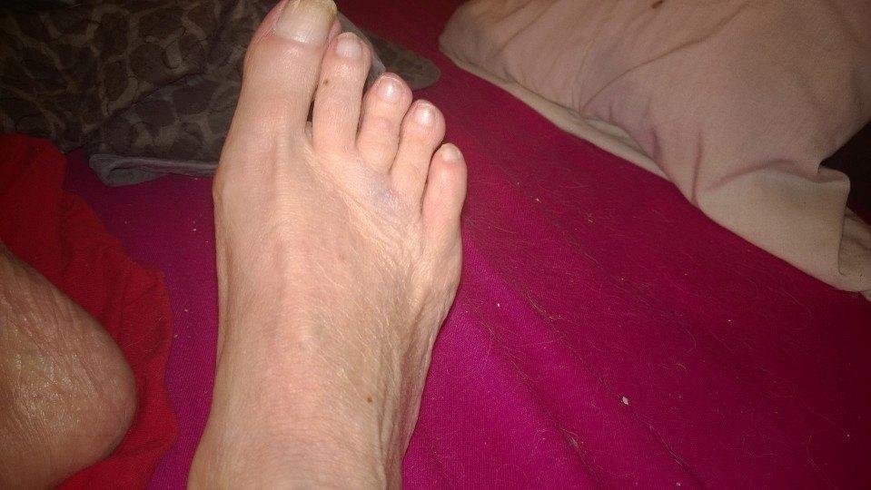 Are they broken? Some day I will kill
That Cat!!