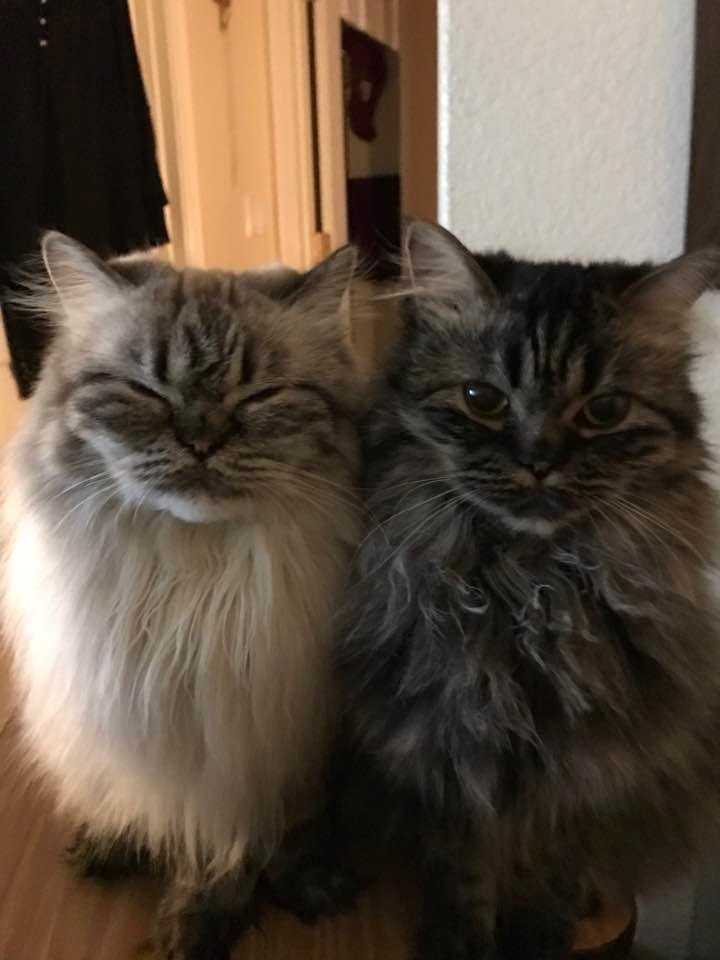Just waking up