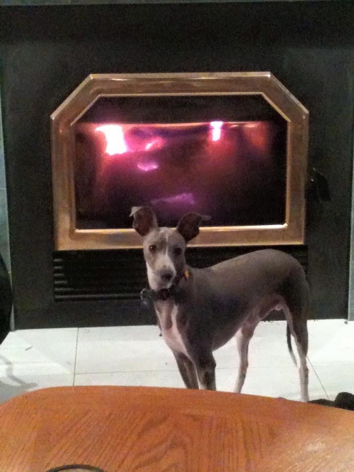 Ahh, warmth!