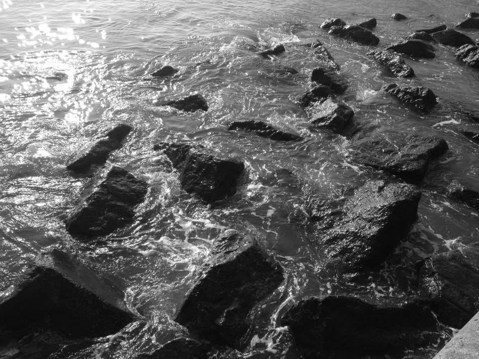 I’ve been nominated by Diane Hamel.
Seven days, seven black & white photos of your life. No humans, no explanation.
Day 6
I nominate Correne Komarnicki-Beres