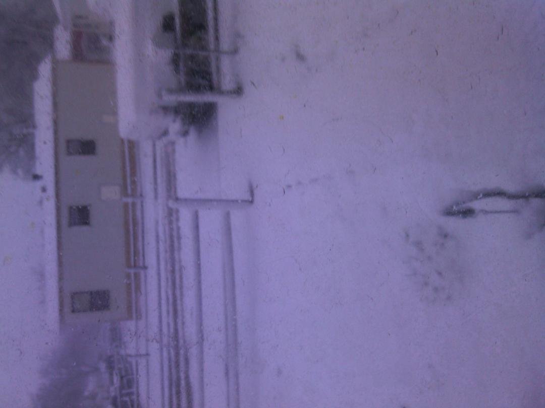 This is what I saw first thing this morning! Yuck!
