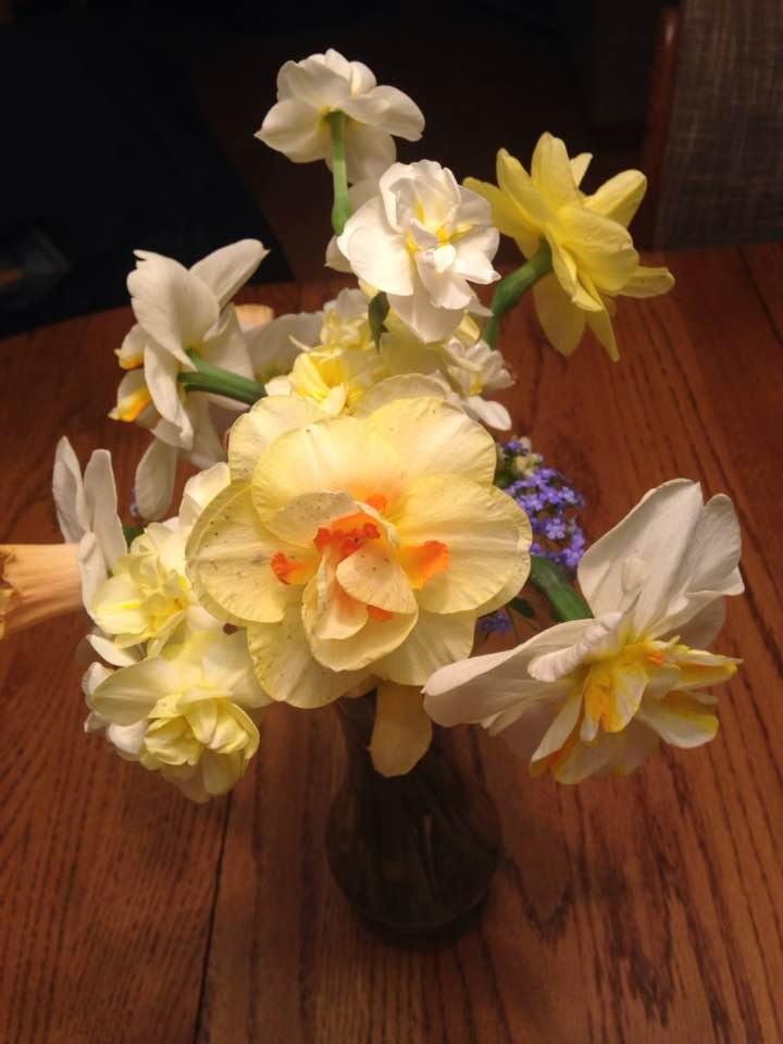 Hate to see the last of the daffodils! 
Happy Easter!!🐣