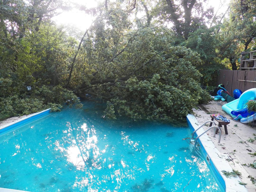 This is our tree....IN THE POOL!!!