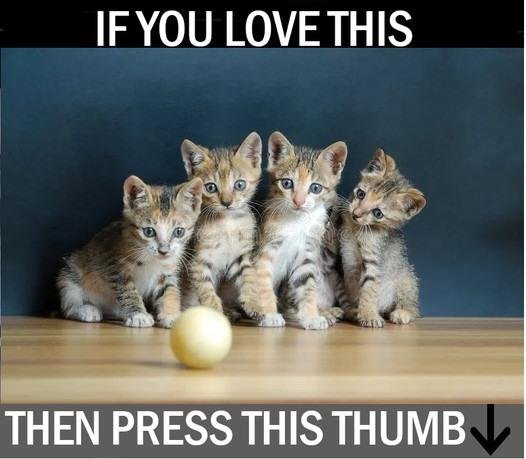 Ann Freimuth's album, Timeline photos