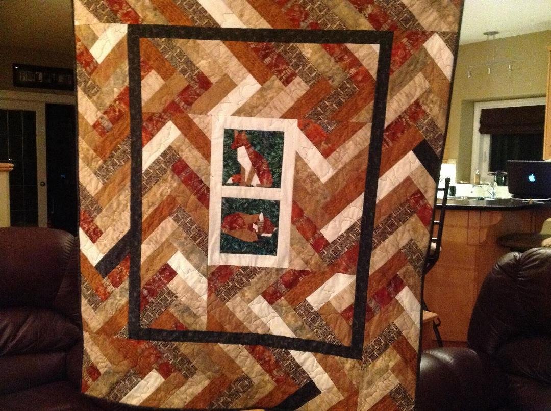Finally finished Brody's Christmas present