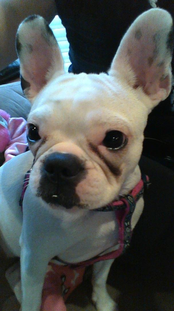 My baby!