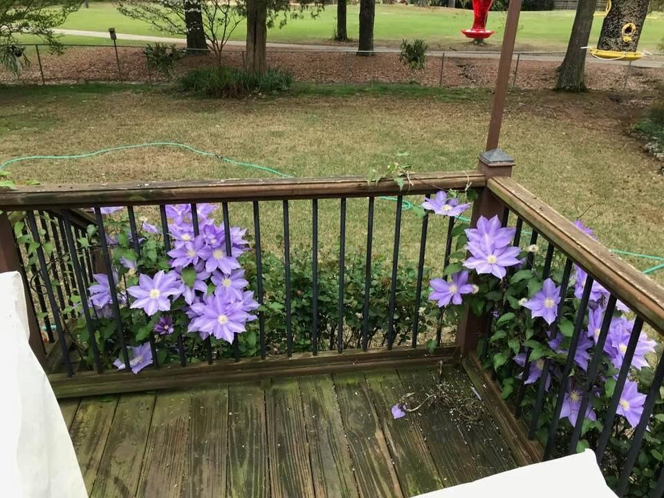 John Andrews' album, Timeline Photos