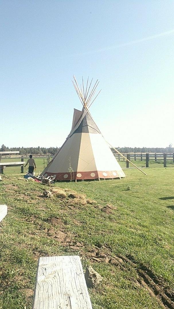 Camping at a bison and yak ranch in a tipi!
