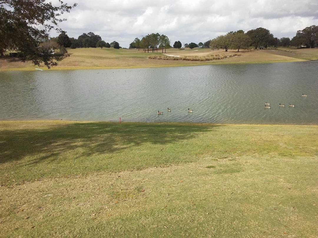 Lunch on hole 7 !