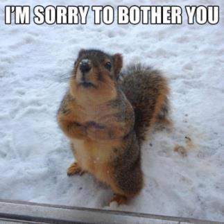 Excuse me...........