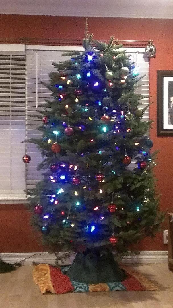 Derek hangs the ornament at the branch
