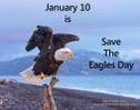 PAM Cooper-Hill's album, Timeline photos