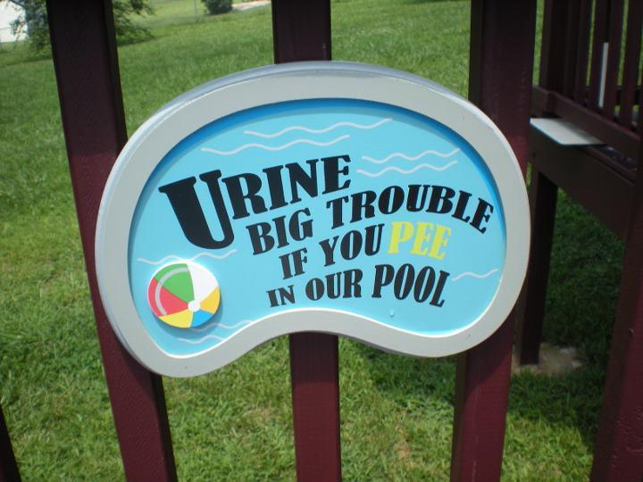 The water will turn purple