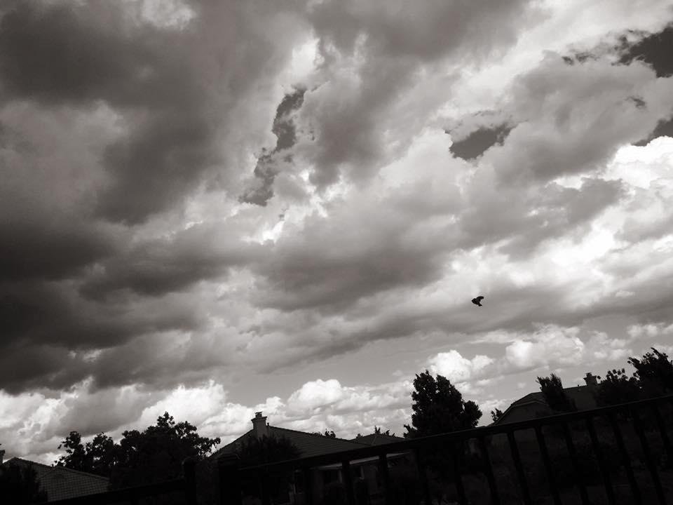 Sandra Logan's album, Mobile Uploads
