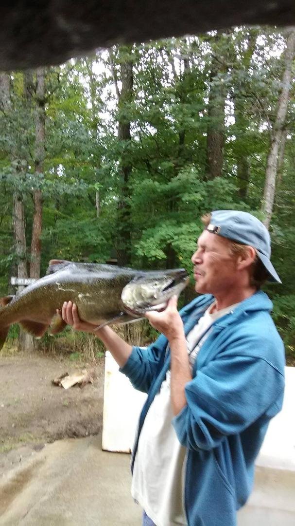 I LOVE THE SALMON LOL !