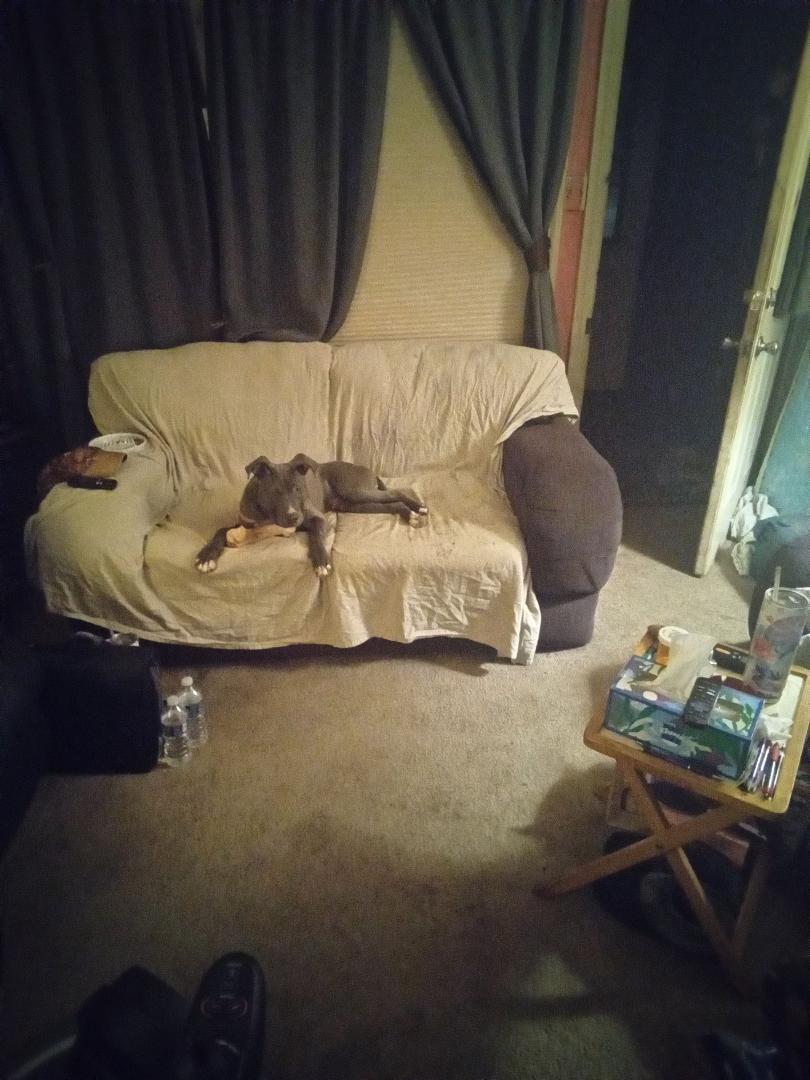 He's not spoiled I promise lol