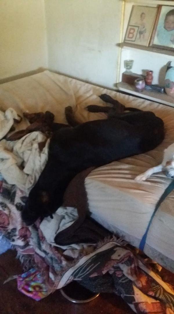 The bed was made up, but someone decided he didn't want sheets or a cover before his nap