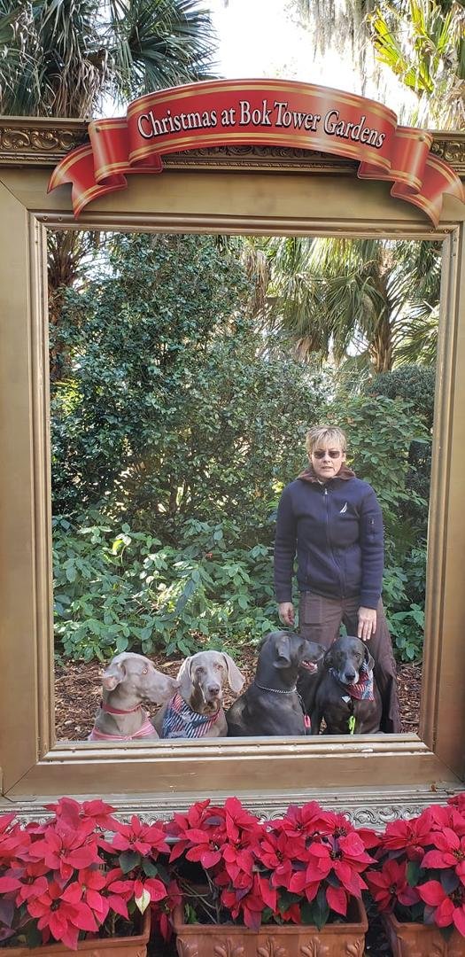 Merry Christmas! (Only took 10 minutes to get them to all sit at the same time and still couldn't get Tammy to sit!)