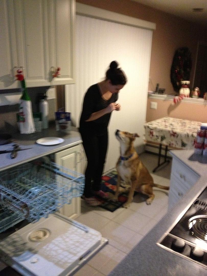 Teaching and old dog new tricks!