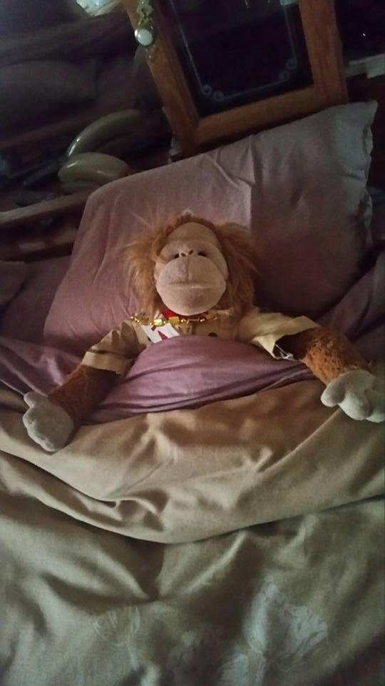 Bobby Pierce's album, Mobile Uploads
