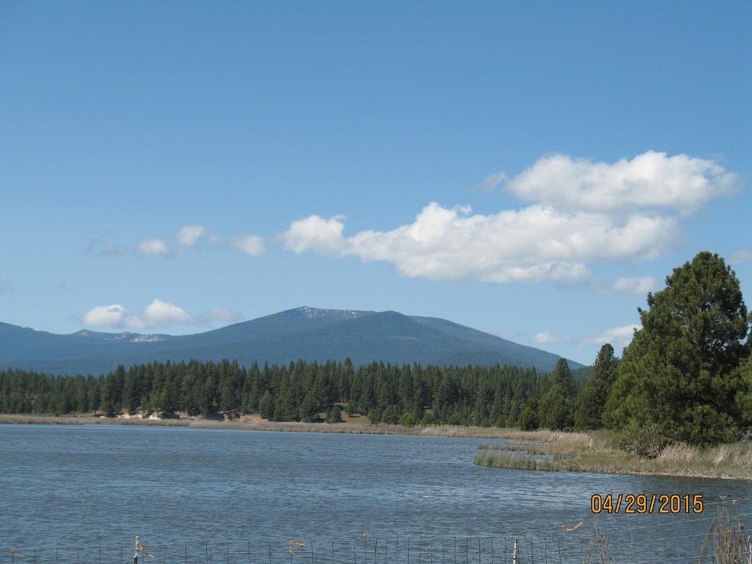 Klamath River Crossing bridge. Bald Eagle soaring in the sky with an Osprey on the down draft.