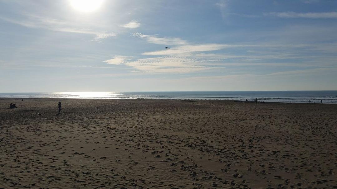 Ocean Beach last Friday.