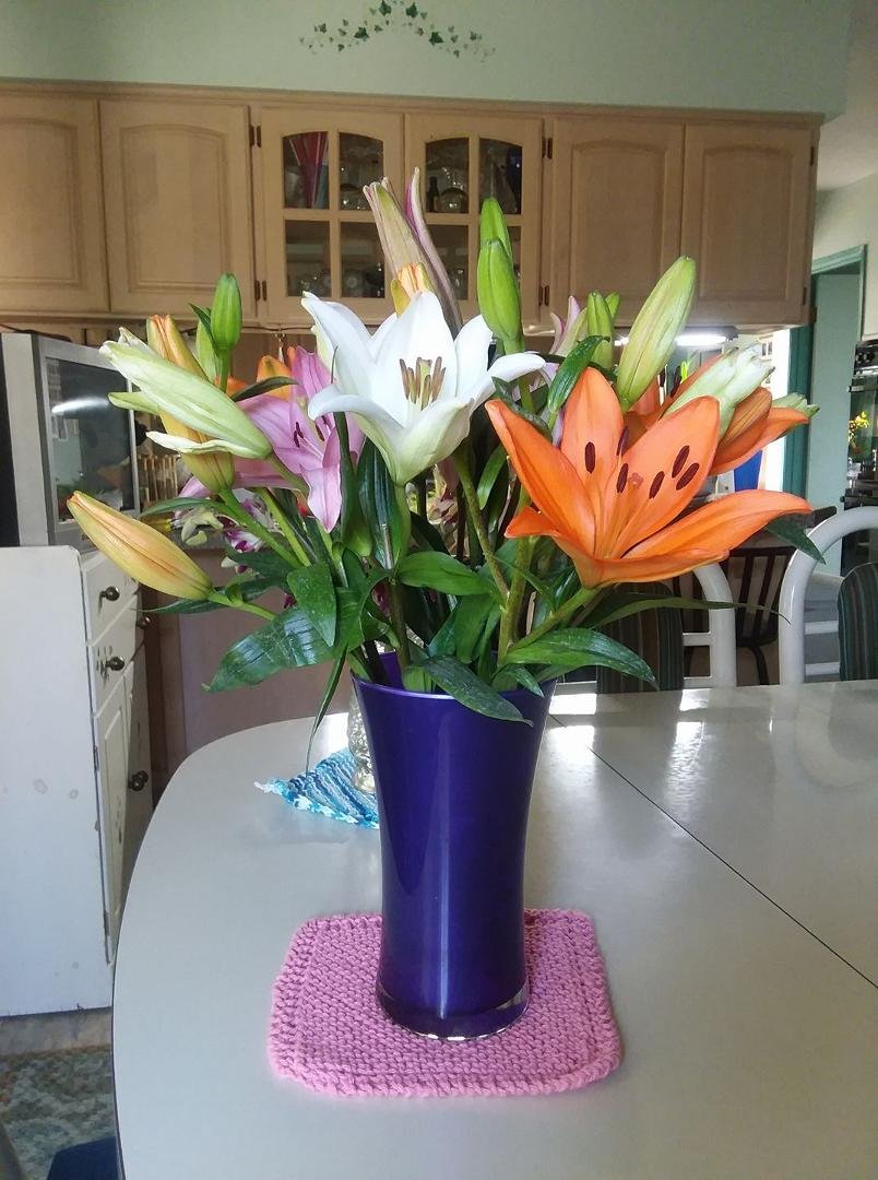Beautiful lillies from Bob & Tammy