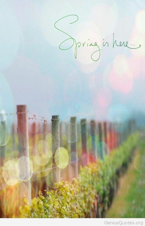WHO IS HAPPY THAT SPRING IS FINALLY HERE?