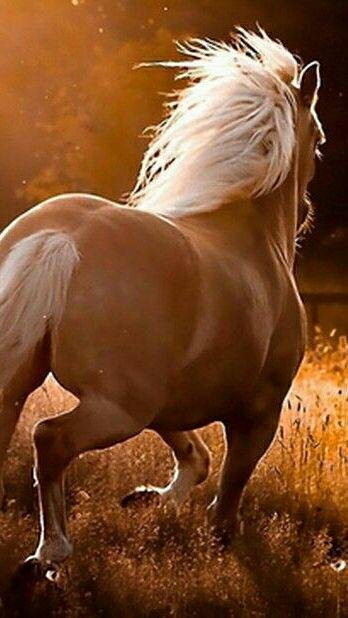 Love this photo!!