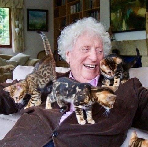Who loves kittens? Dr. Who loves kittens!