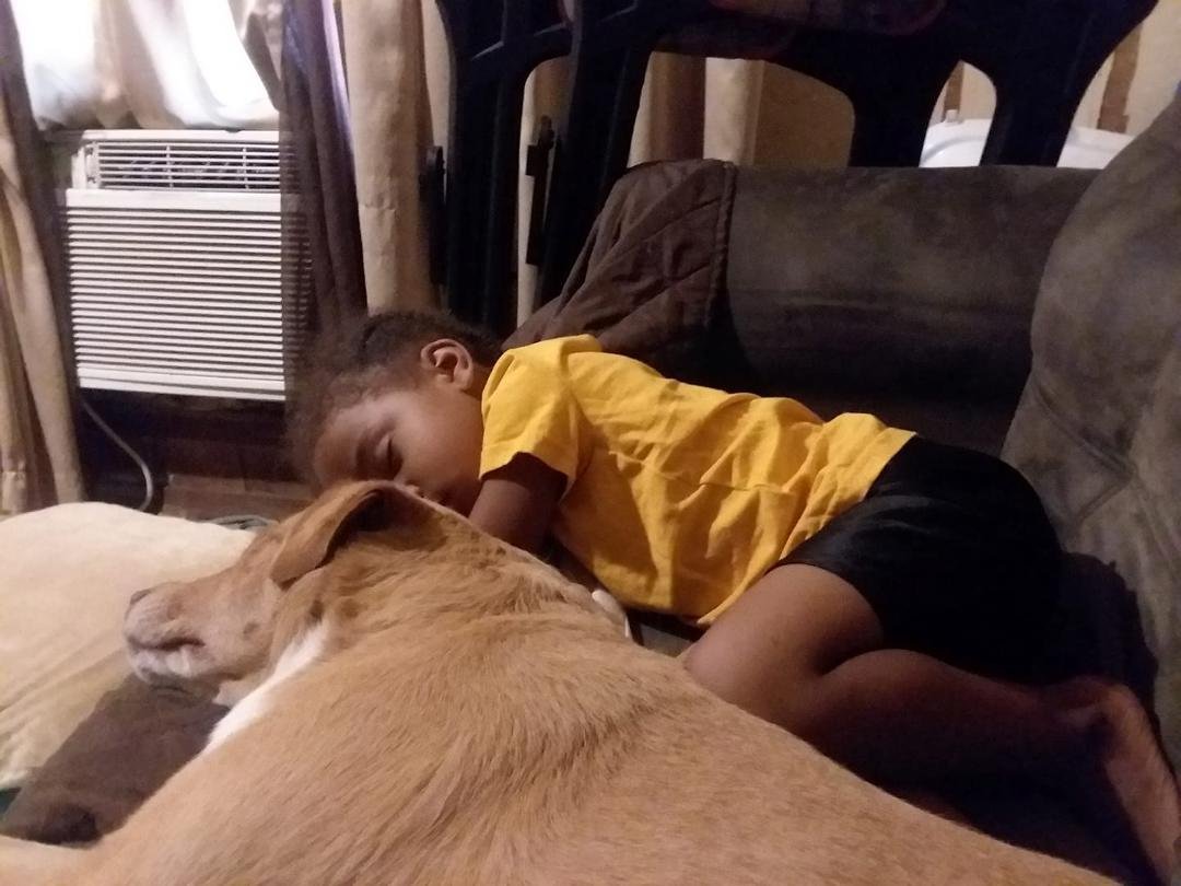 My boy wasn't hear a good hour before he told me he was tired. So this is him and Bess taking a nap !!!!
