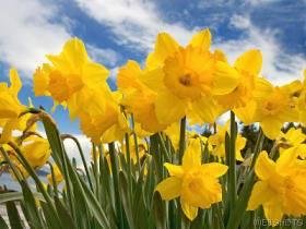 Barbara Fraser's album, Timeline Photos