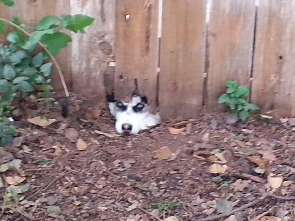 Peek a boo. I see you