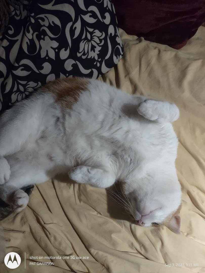 I told perv to get off my bed she hit me with the flex