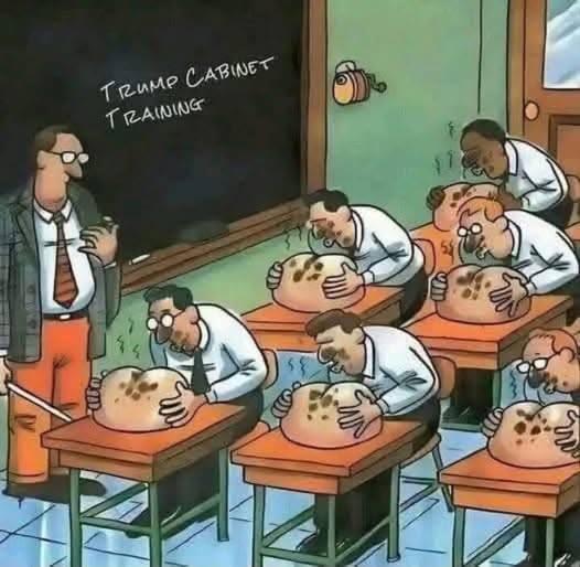 Seems like they are getting pretty good at it!