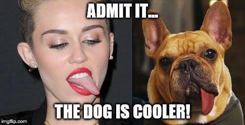 Okay, am I the only one who sees the resemblance here?