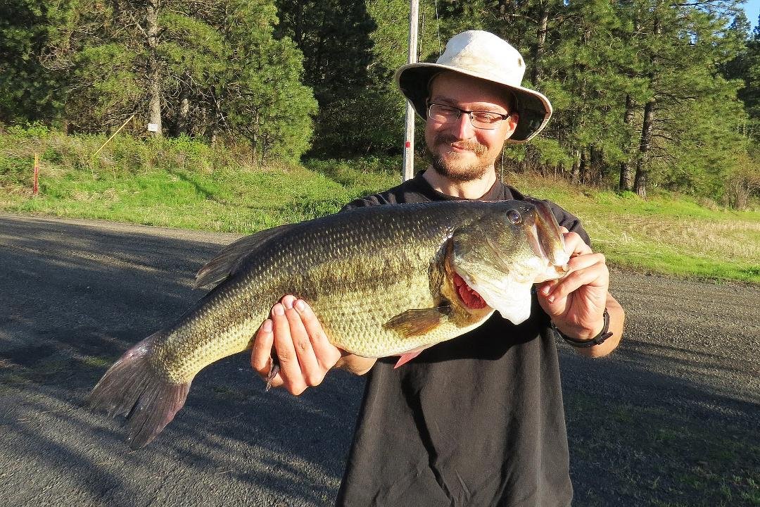 Took a friend fishing today. It was his first time fishing since he was young. He's never caught a bass before. Here's his first bass, 8 lbs 2 oz.