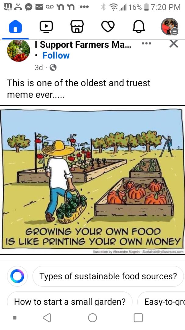 Dennis Servaes' album, Timeline photos