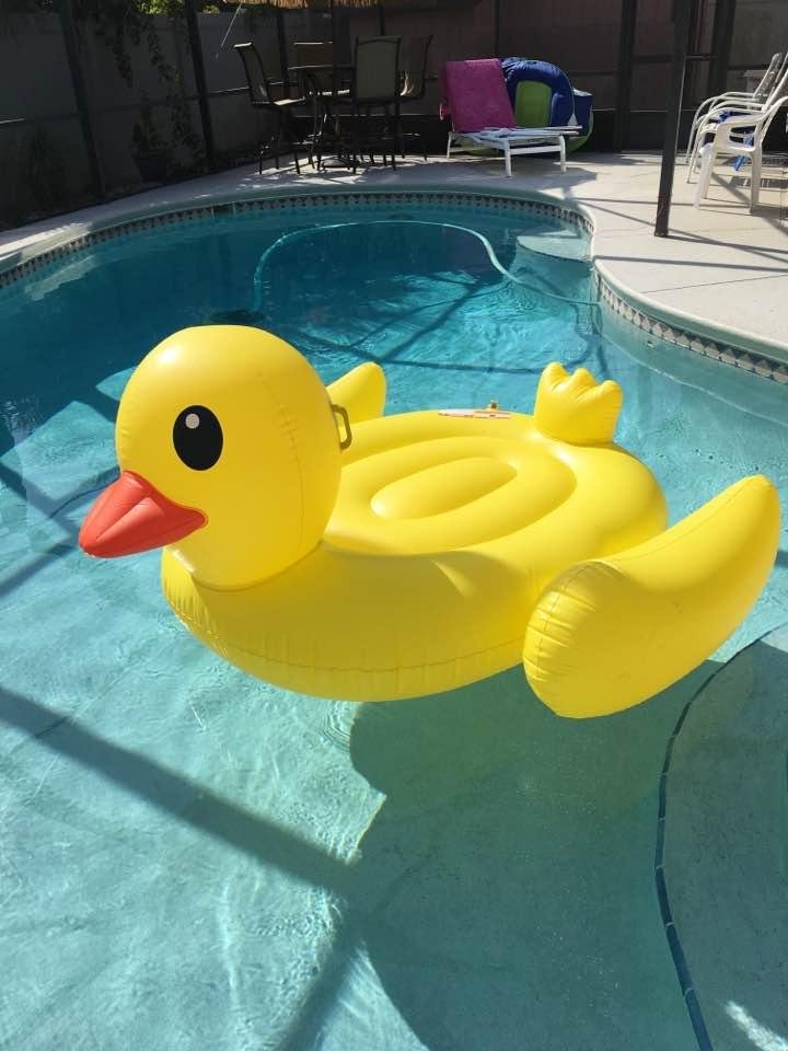 Cathy Magalis' album, Timeline Photos